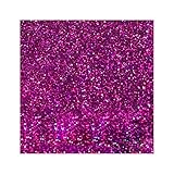 【Royal Queen】LB900 0.3mm レインボーレッドパープル 100g 大容量 ラメフレーク 塗装 塗料