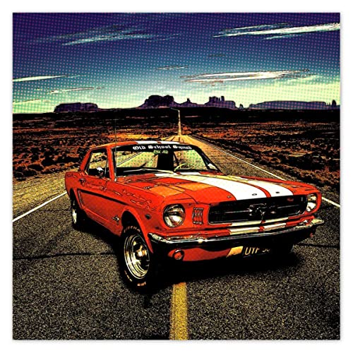 Bandera decorativa de coche deportivo 140 x 140 cm con ojales reforzados interior exterior