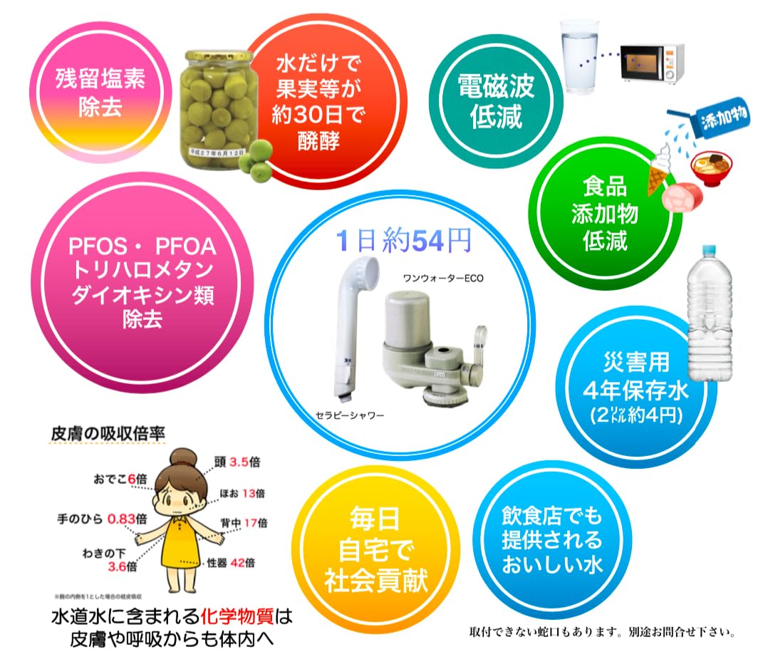 Amazon.co.jp: 素粒水 セラピーシャワー フリーサイエンス シャワー