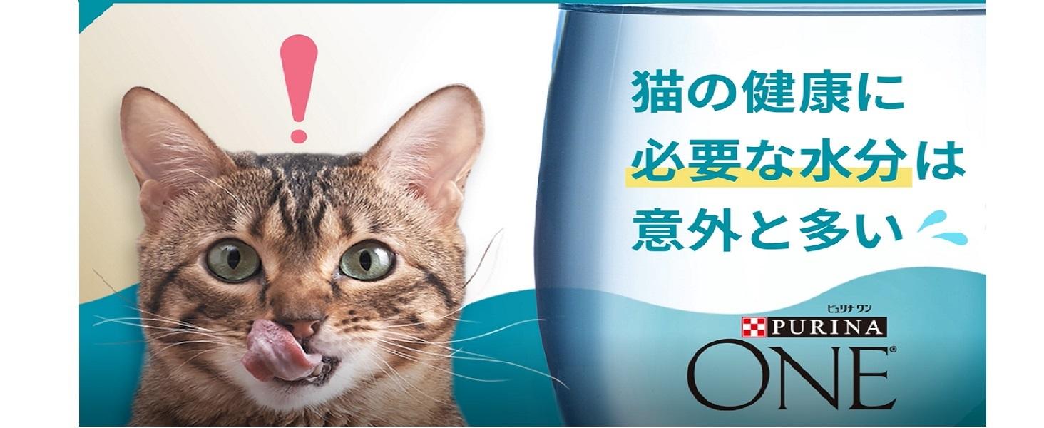 Amazon | ピュリナ ワン 成猫用(1歳以上) メタボリックエネルギー