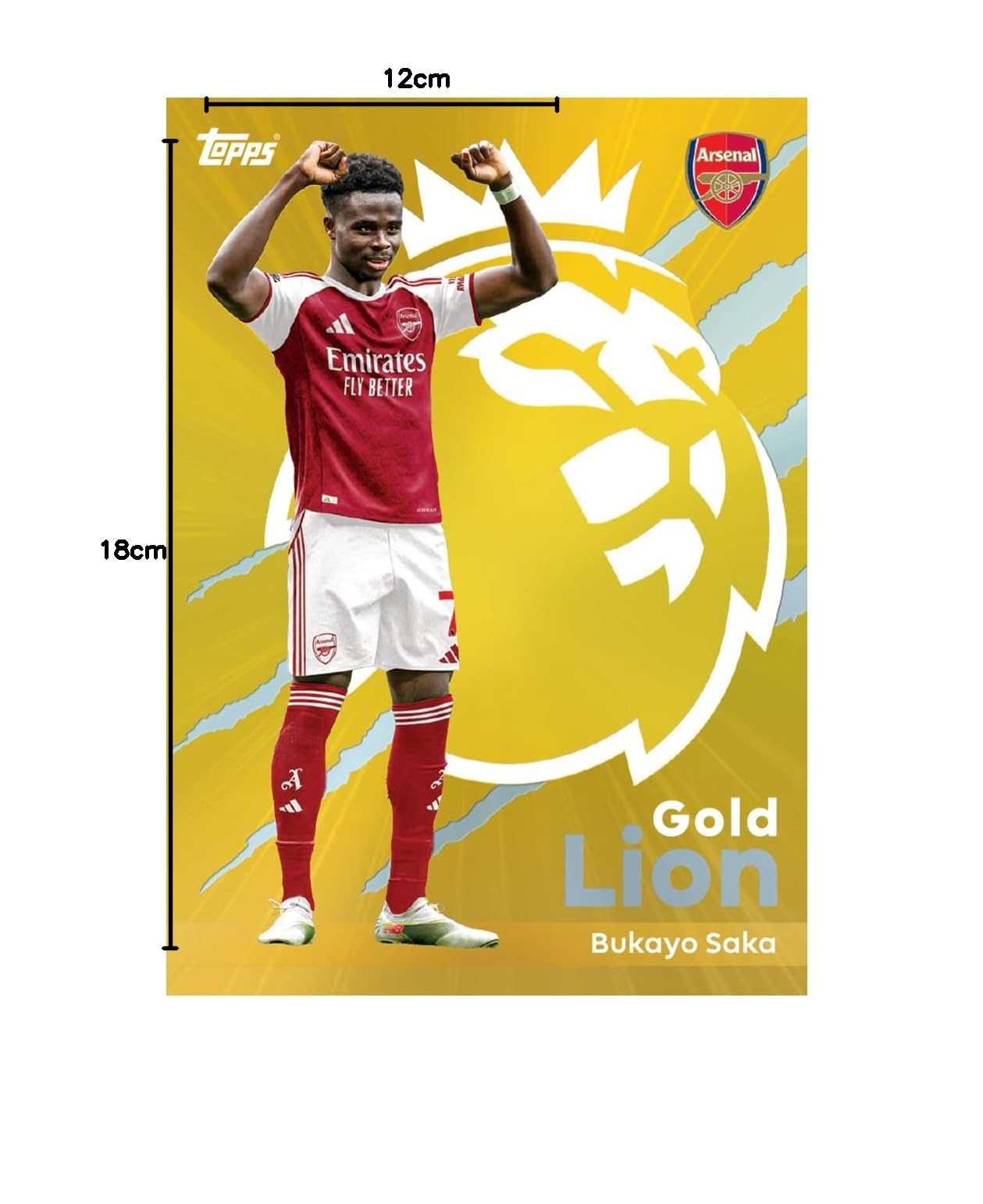 Topps Premier League 2025/26 Super Tin #2 (seria Hall of Fame) | zawiera 50 kart plus 3 ikony Hall of Fame, karty kolekcjonerskie + 250 rękawów na karty Protectodon