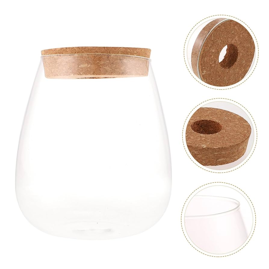 Amazon.co.jp: ANDRESLAD 水耕栽培用ガラスボトル マイクロ