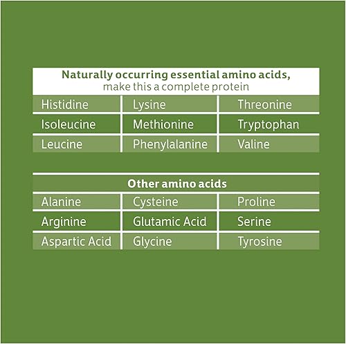 Miniatura 3 de Biochem Proteína vegetal 100% vegana, chocolate, 11.4 onzas, fácil de digerible, amigable con KETO, aminoácido, arándano, semillas de cáñamo,