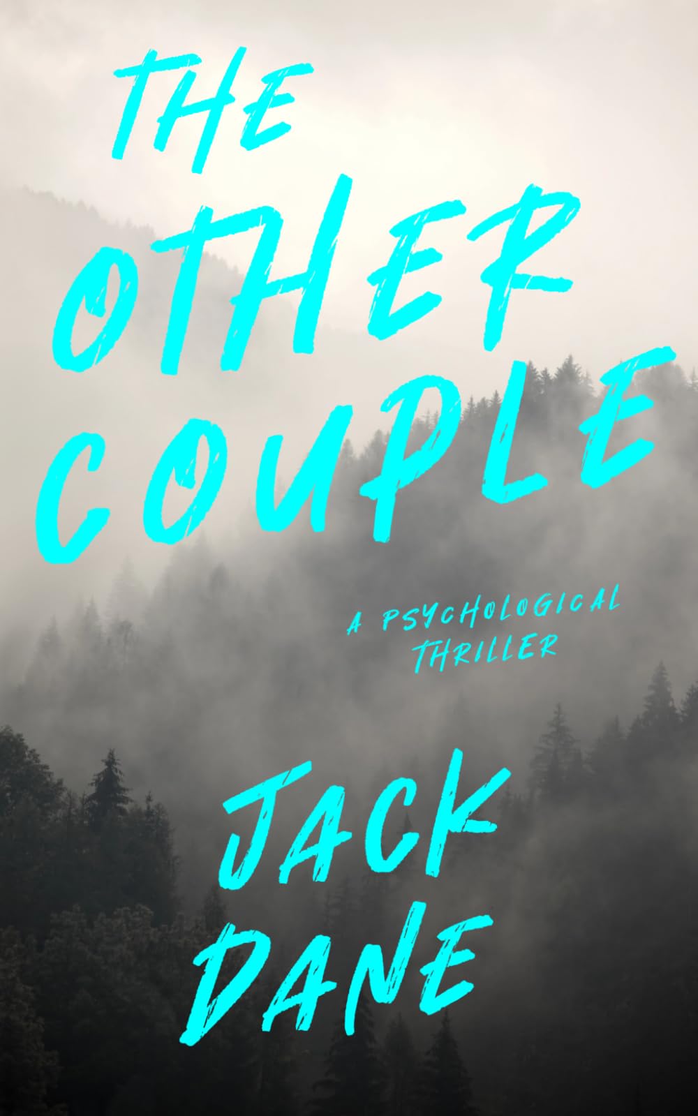 The Other Couple: A Psychological Thriller