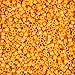 Miyuki Delica Seed Beads – Size 11/0 (1.6 mm), DB0651, Dyed Opaque Squash, 7.2 g, Approx. 1440 Beads, Made in Japan
