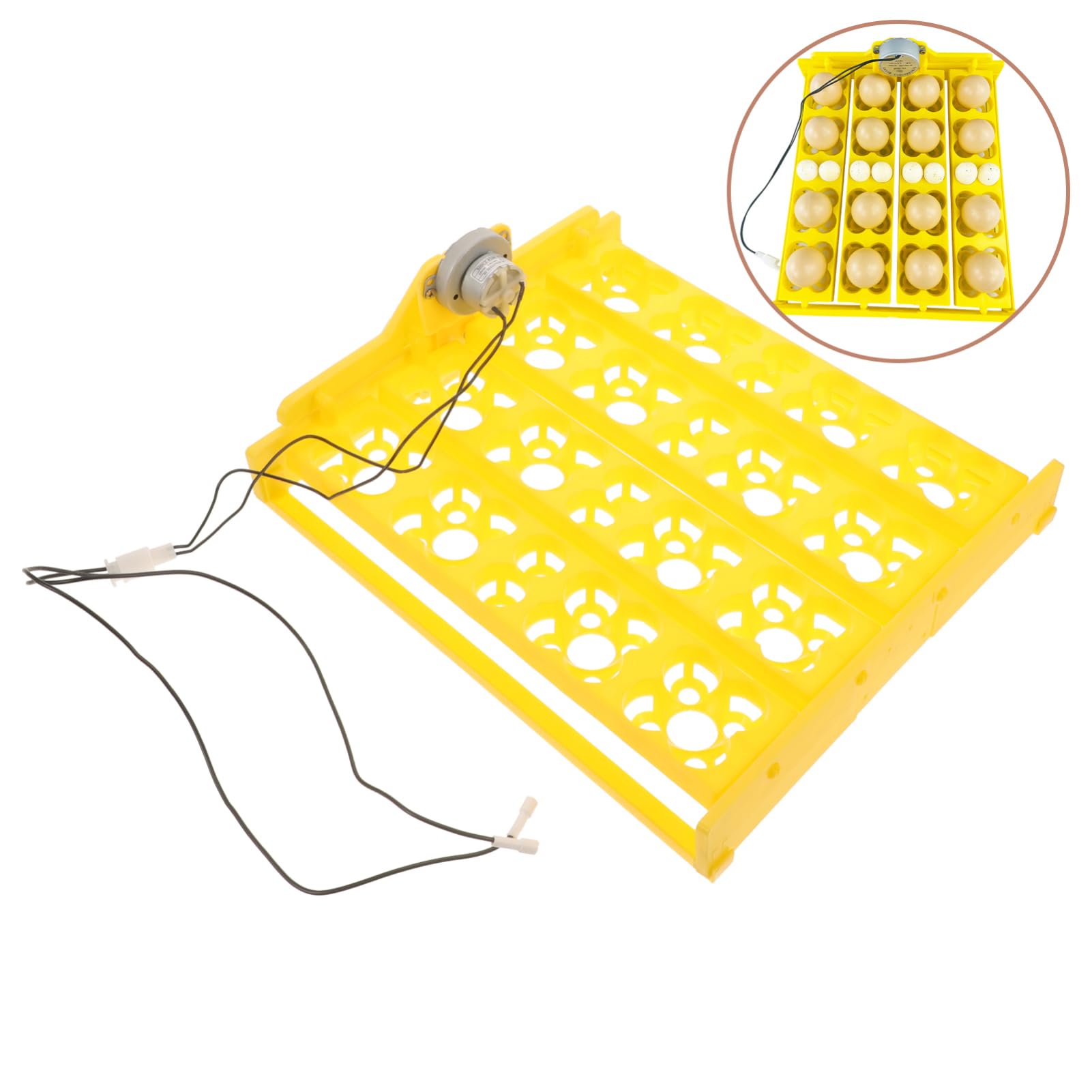 ibasenice Bandeja de Incubación Automática 16 Piezas de Plástico Reutilizable y Estable para Huevos de Codorniz y Pavo para Uso Doméstico en Incubadoras