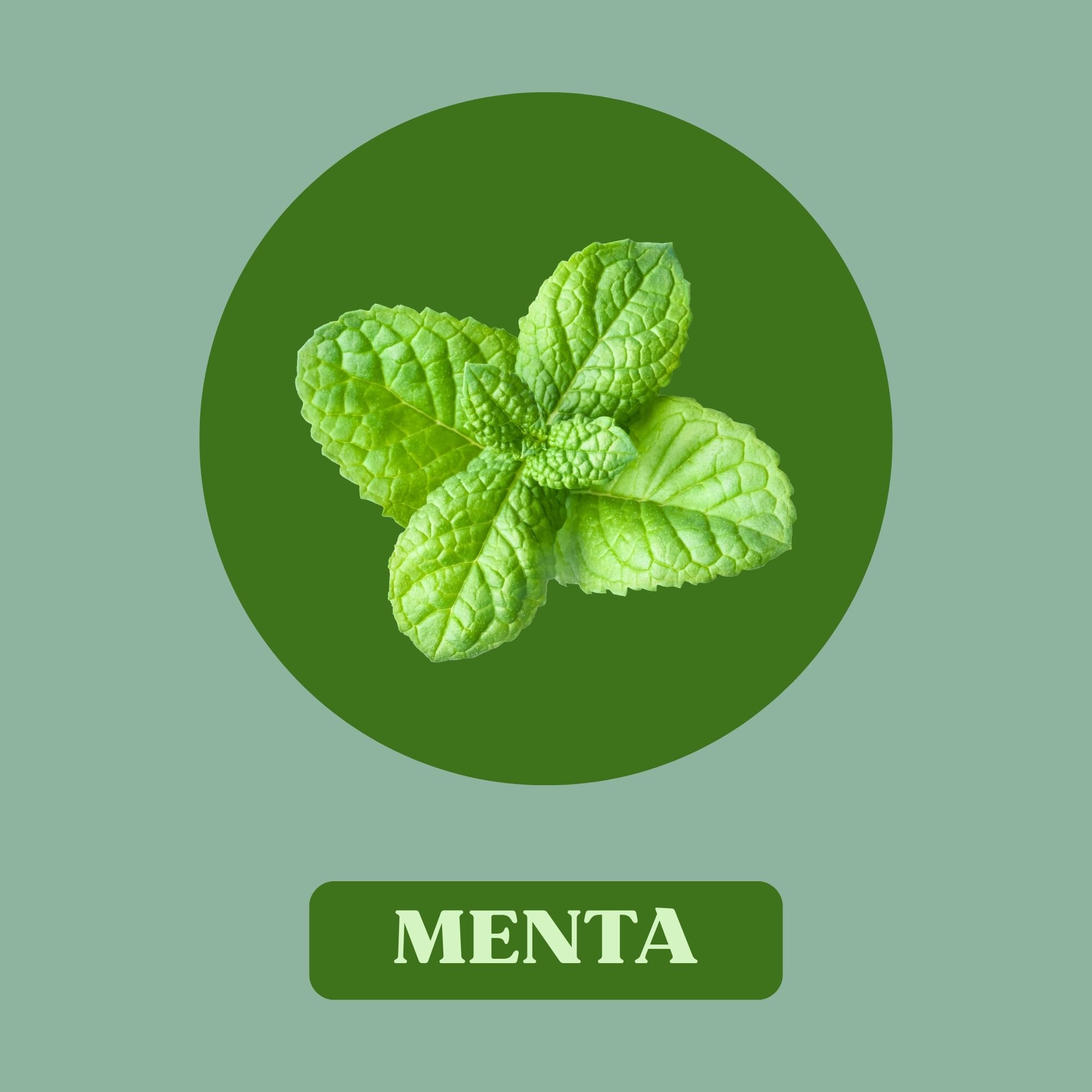 Juanola Caramelos Sabor Menta - Sin azúcar, sin gluten - Con edulcorantes procedentes de la planta Stevia - Cómodo formato de bolsillo - Explosión de sabor en tu boca - Pack 20 uds