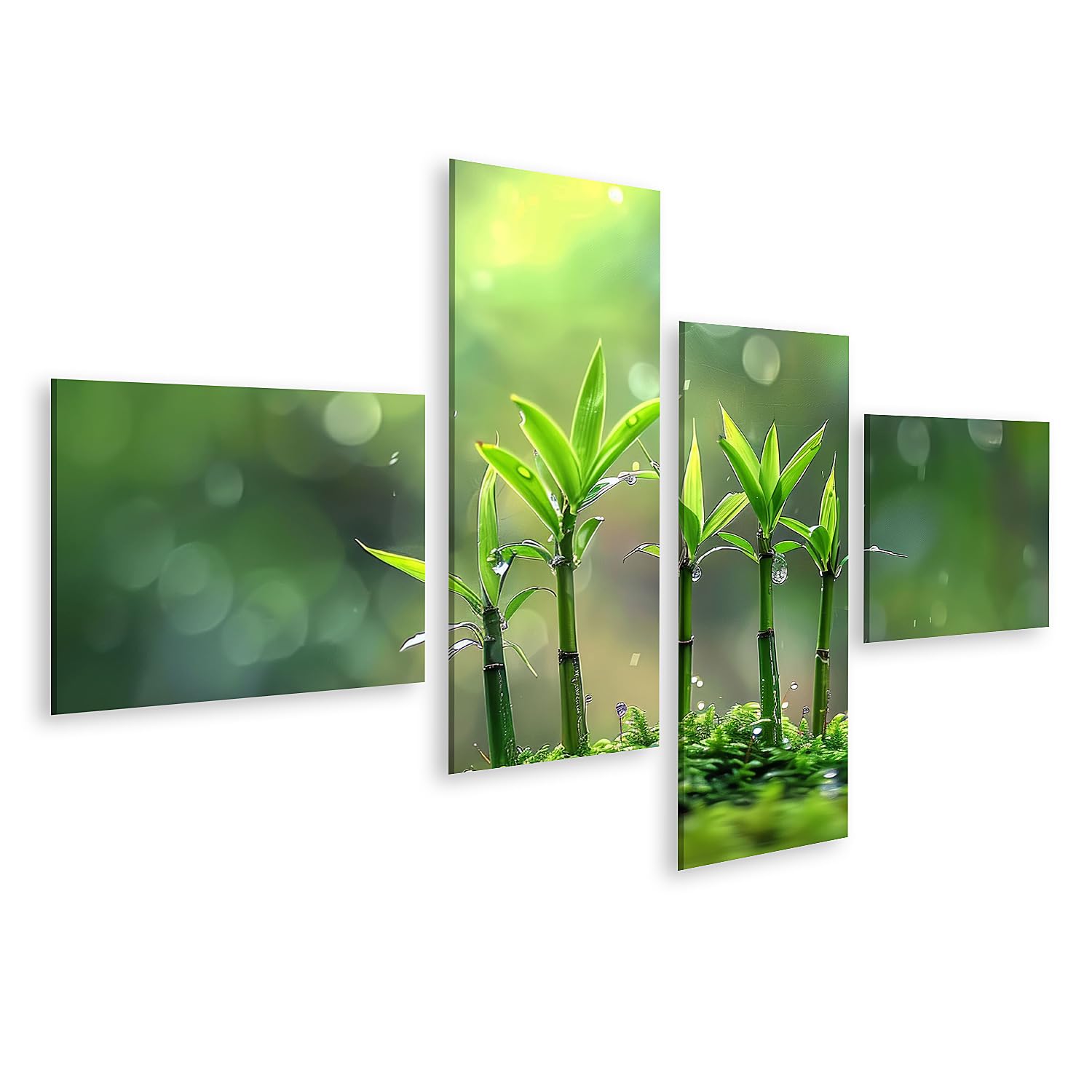 islandburner Cuadro sobre lienzo jóvenes brotes de bambú en el rocío de la mañana para jardín zen amantes de la naturaleza spa spa imágenes murales póster