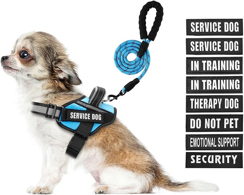 Peitoral Vest para Cães em Treinamento Animire com Guia Refletiva e 10 Adesivos, Azul-claro, XS