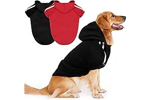 Pitbull-Proof Hoodies: Unmatched Warmth and Protection for Your Canine Companion