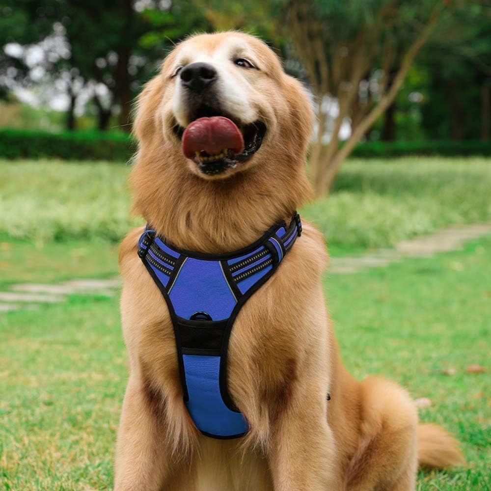 See full amazon price history chart for Cavalry Heavy Duty No Pull Dog Harness with 5.9ft Dog Leash Rope 15MM Rope Double Padded Easy Control Chest Body Belt for Medium Dogs Girth inch: 18"- 29" Cavalry Heavy Duty No Pull Dog Harness with 5.9ft Dog Leash Rope 15MM Rope Double Padded Easy Control Chest Body Belt for Medium Dogs Girth inch: 18"- 29" (B0CWRXYC85) Amazon Price History, Amazon Price Tracker