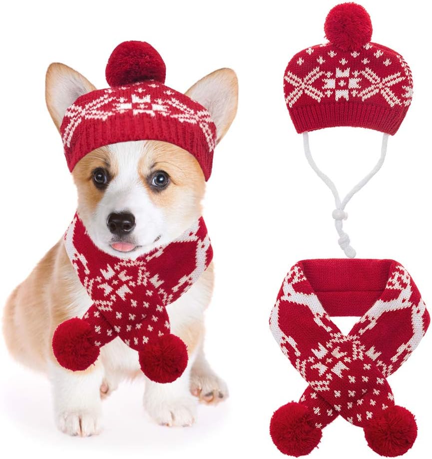 Hat and scarf for dogs Outlet