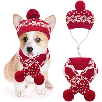 warm winter hats for dogs
