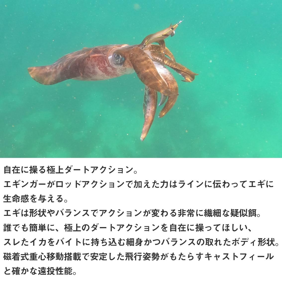 Amazon | ダイワ(DAIWA) エギ/餌木 エメラルダスダートLC3.0 ピンク