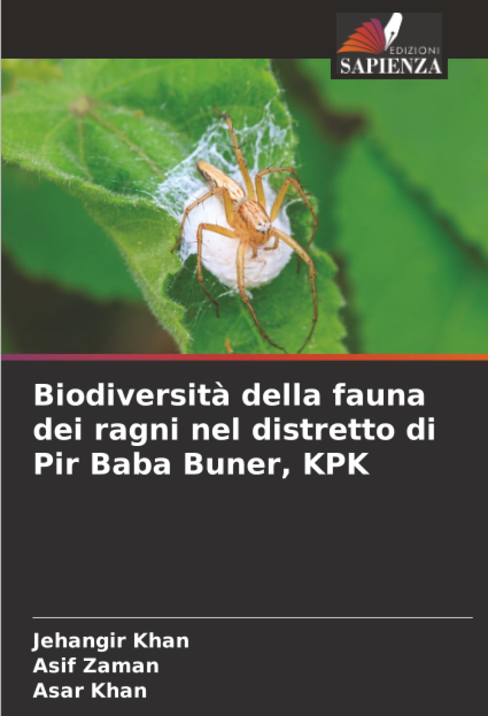 Biodiversità della fauna dei ragni nel distretto di Pir Baba Buner, KPK