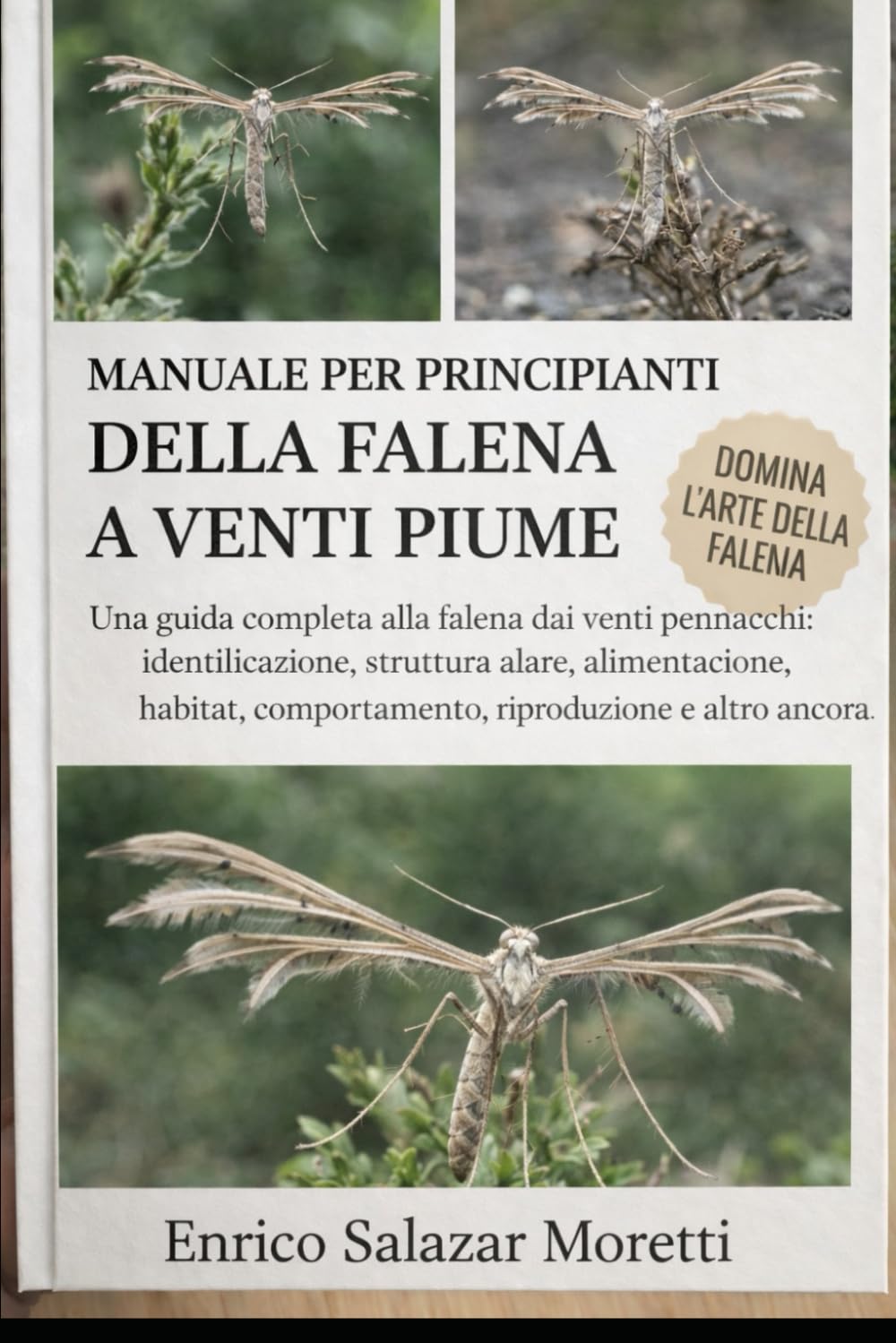 MANUALE PER PRINCIPIANTI DELLA FALENA A VENTI PIUME: Una guida completa alla falena dai venti pennacchi: identificazione, struttura alare, ... comportamento, riproduzione e altro ancora