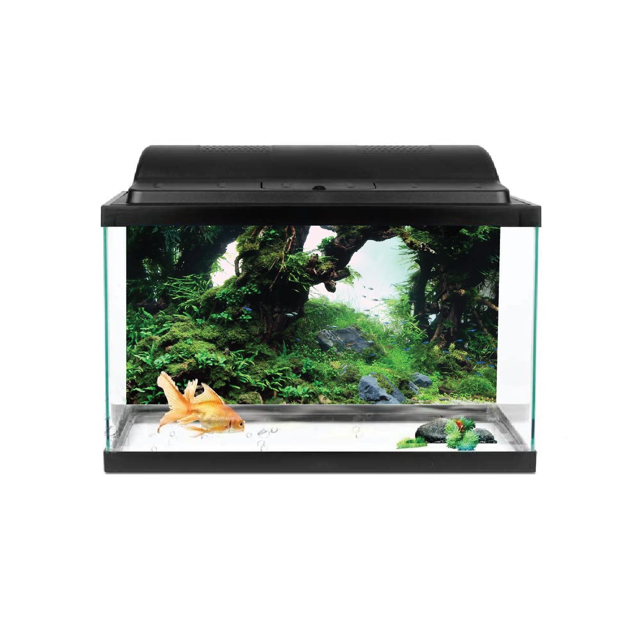 VVWV® Green Tree Aquarium Background Stickers for Fish Tank Waterproof Vinyl Printed Multicolored Sticker (76 X 46 CMS) (B0BWFG1GPQ) Amazon Price History, Amazon Price Tracker