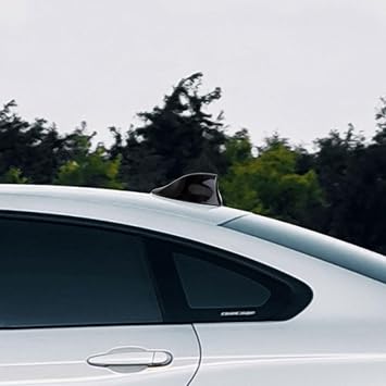 2pcs Car Tail Wing Rear Spoiler Auto Rear Trim Vehicle Plastic Tail Wing Decor Universal Black and White for Car Exterior Styling