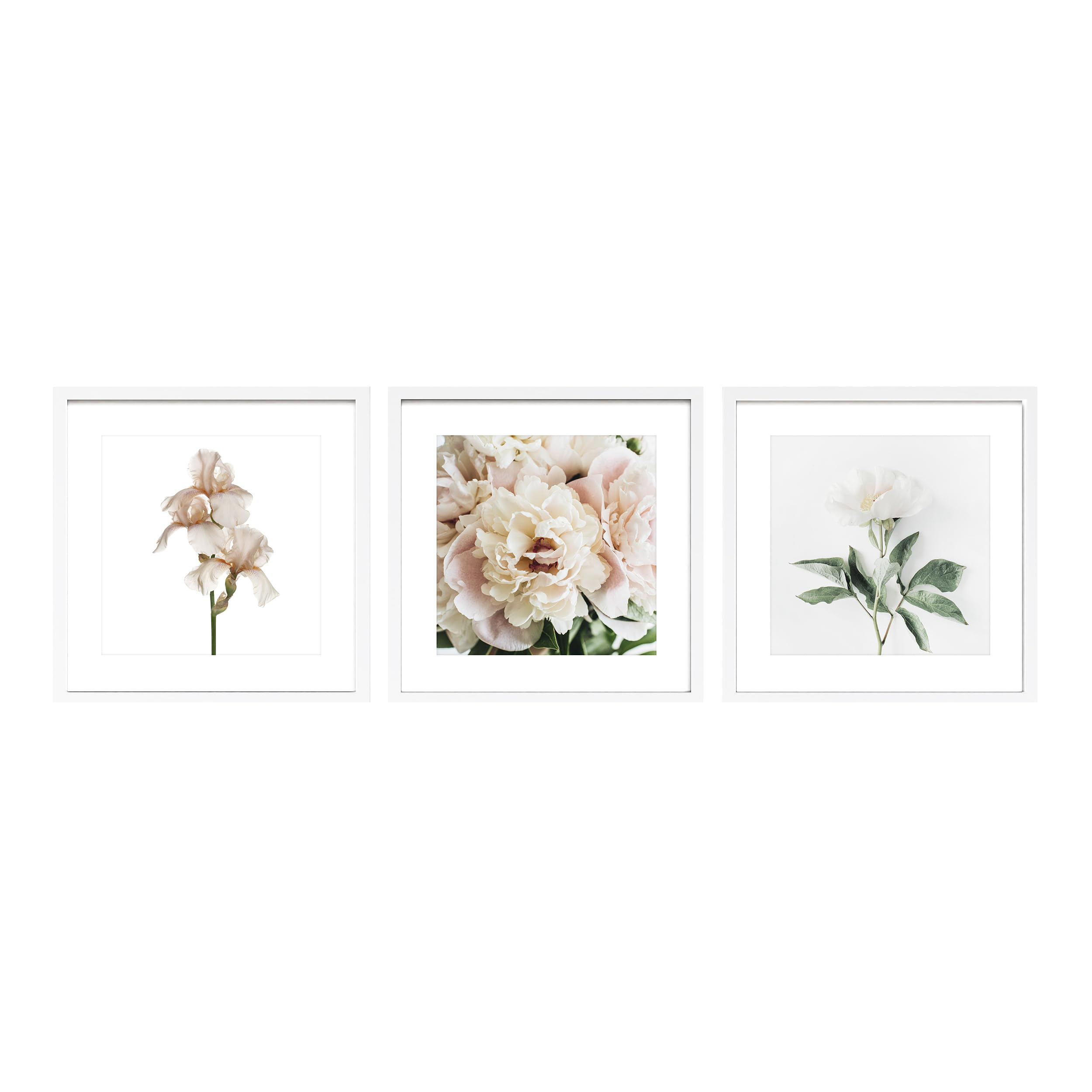 STYLER Zestaw obrazów Posy 3 x 30 x 30 cm (gotowy do zawieszenia) z wysokiej jakości białą drewnianą ramą – delikatne motywy kwiatowe do Twojego domu – beżowe, kremowe, naturalne, minimalistyczne