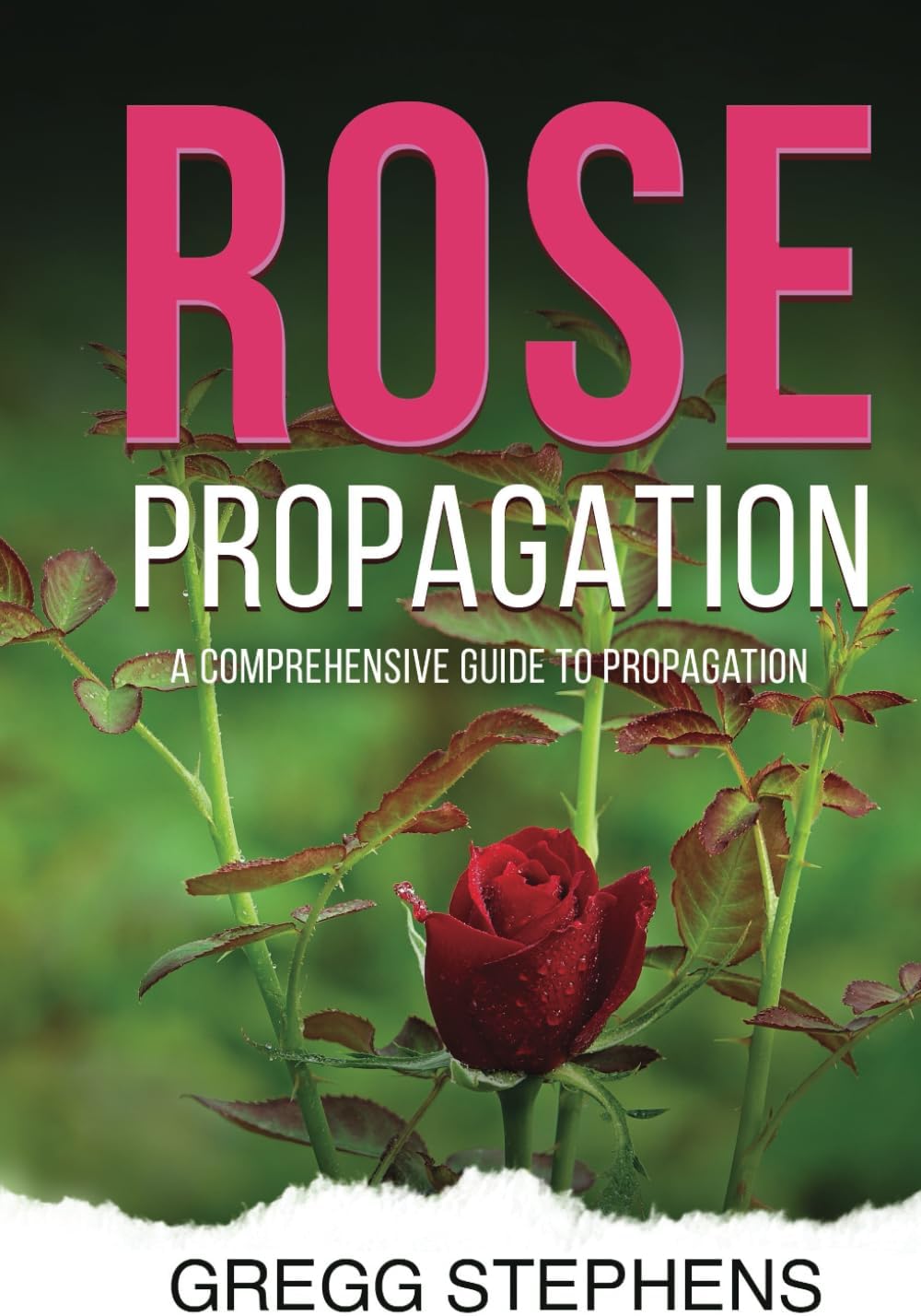 ROSE PROPAGATION: The Complete Guide