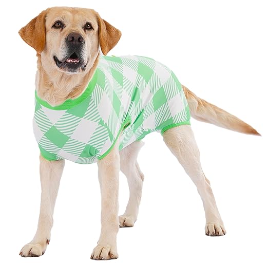 LovinPet Female Dog Recovery Suit for Spay and Post-Op Rest, Plaid Belly Coverage Bodysuit with Soft Cushion Panel, Post-Surgery Clothes for Large Dogs, Green, XL