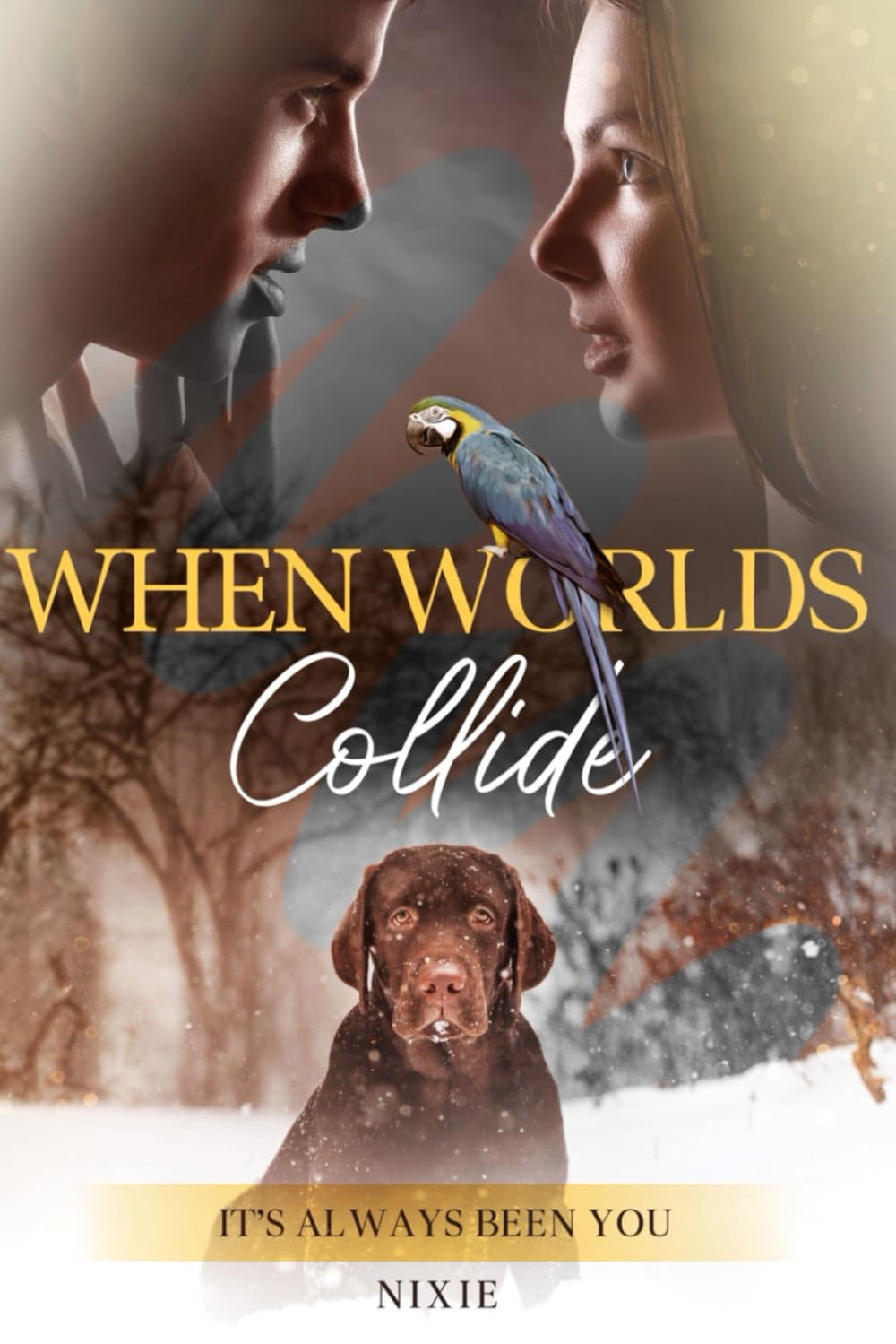 When Worlds Collide: It’s always been you (Remember When)