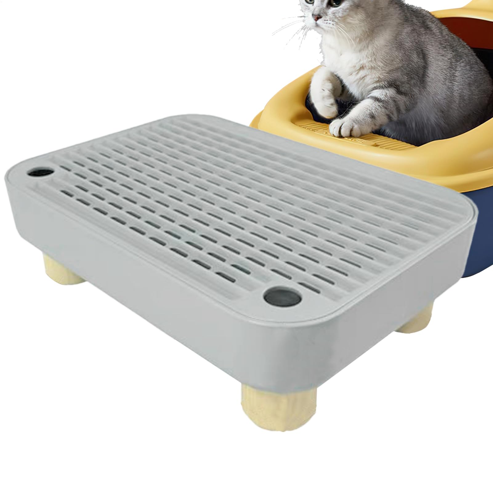 Escalier pour bac à litière chaton marche filtration litière intérieur salon