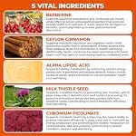 Berberine Supplement with Ceylon Cinnamon, Chromium, Alpha Lipoic Acid, Metabolic Care Supports Metabolism & Cardiovascular Health and Immune System, Helps Maintain Steady Energy Levels - Image 5