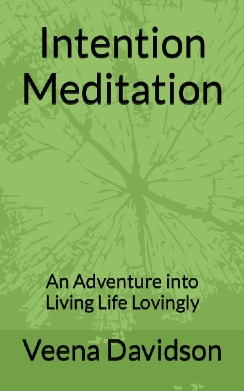 Intention Meditation: An Adventure into Living Life Lovingly