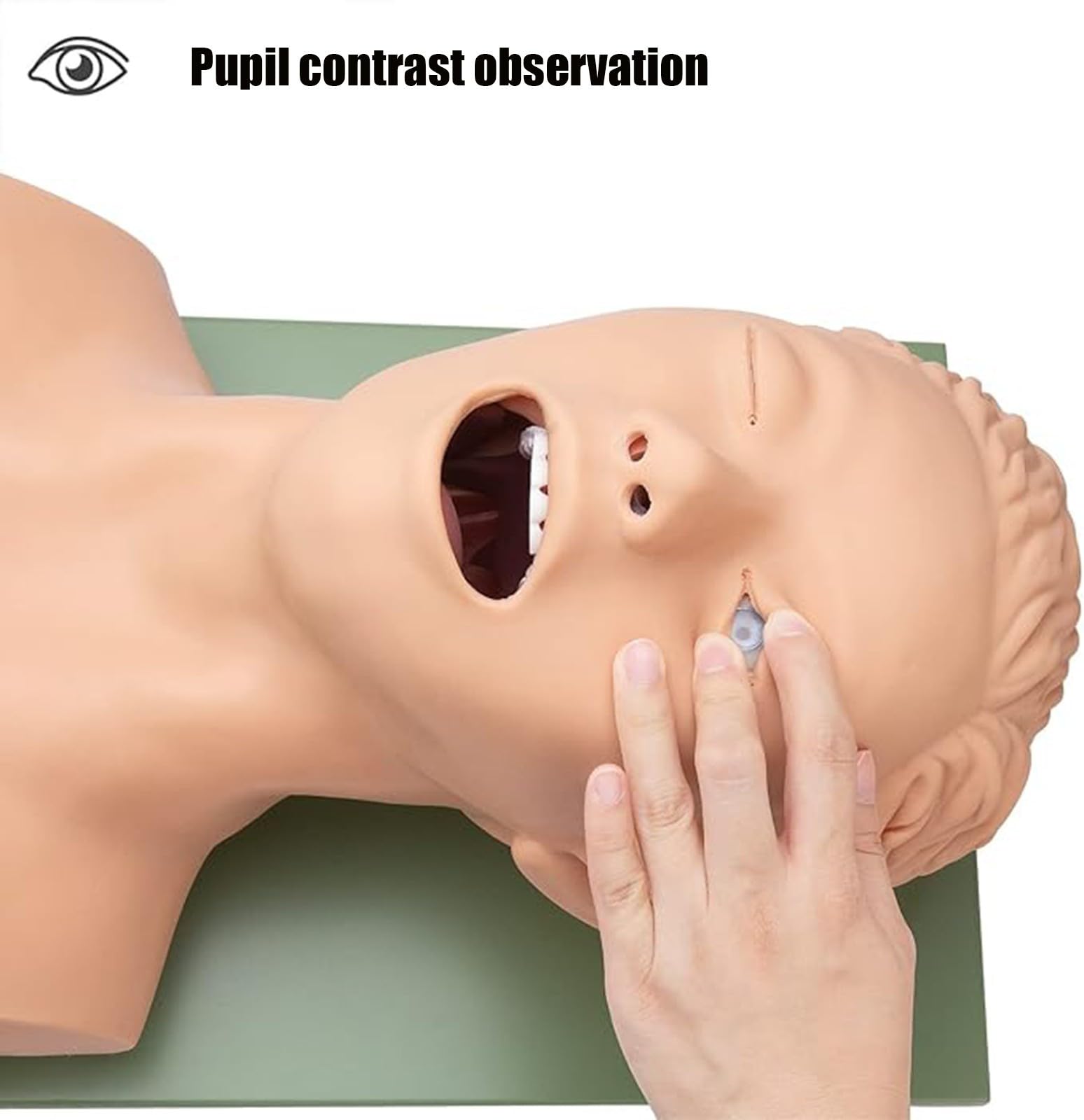 Mannequin d'intubation : Modèle pédagogique pour la formation des adultes à la gestion des voies respiratoires en situation d'urgence A