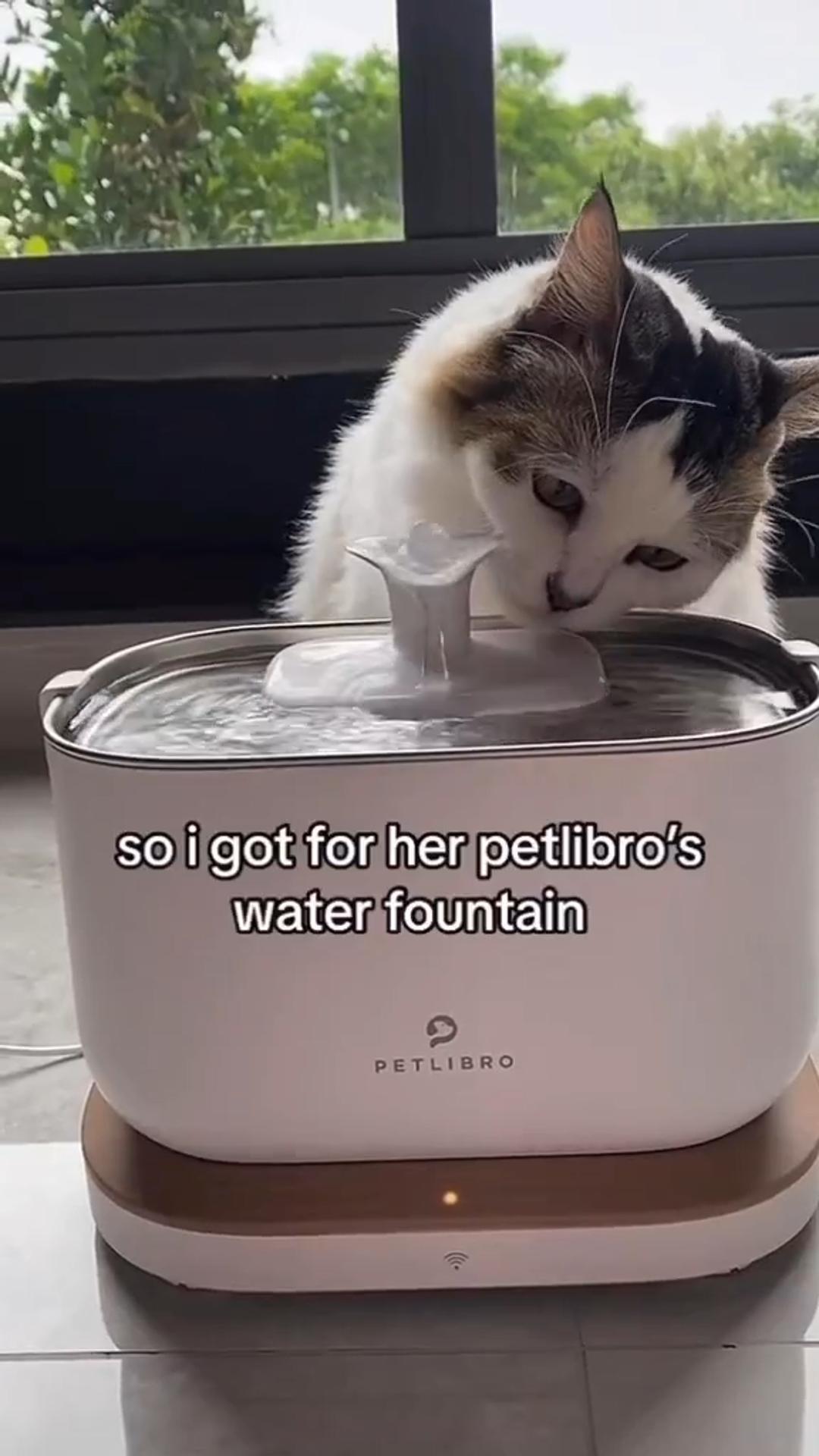 PETLIBRO Dockstream Cat Fountain, Smart Water Intake Tracker, 2.4