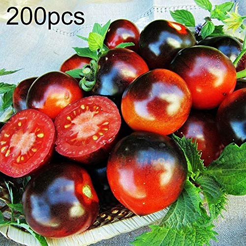 Austinstore 200 Stks Organische Zeldzame Tomatenzaden Heerlijk Fruit Groente Thuis Tuin Decor Zaad Behoefte Gek Mengsel… - Afbeelding 3