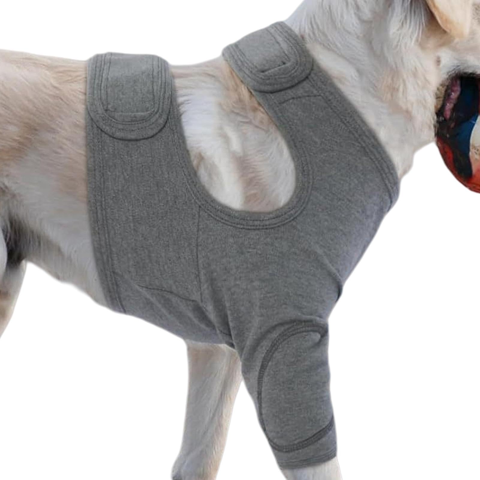 Coudière de protection anti-léchage pour chien pour des siestes sereines