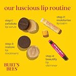 Burt's Bees100% Origine naturelle Hydratant les lèvres, Prune, 1 Tube - Boîte de 4 (Paquet mai très)