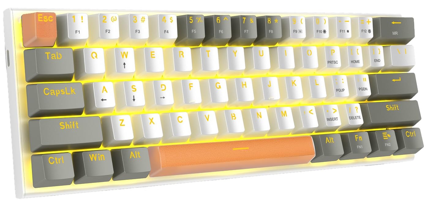 E-YOOSO 60% Mechanical Keyboard, Blue Switches Mechanical Gaming Keyboard Wired with LED Backlit, Ultra-Compact 60 Percent Computer Keyboard for Windows, Mac OS (White Grey)