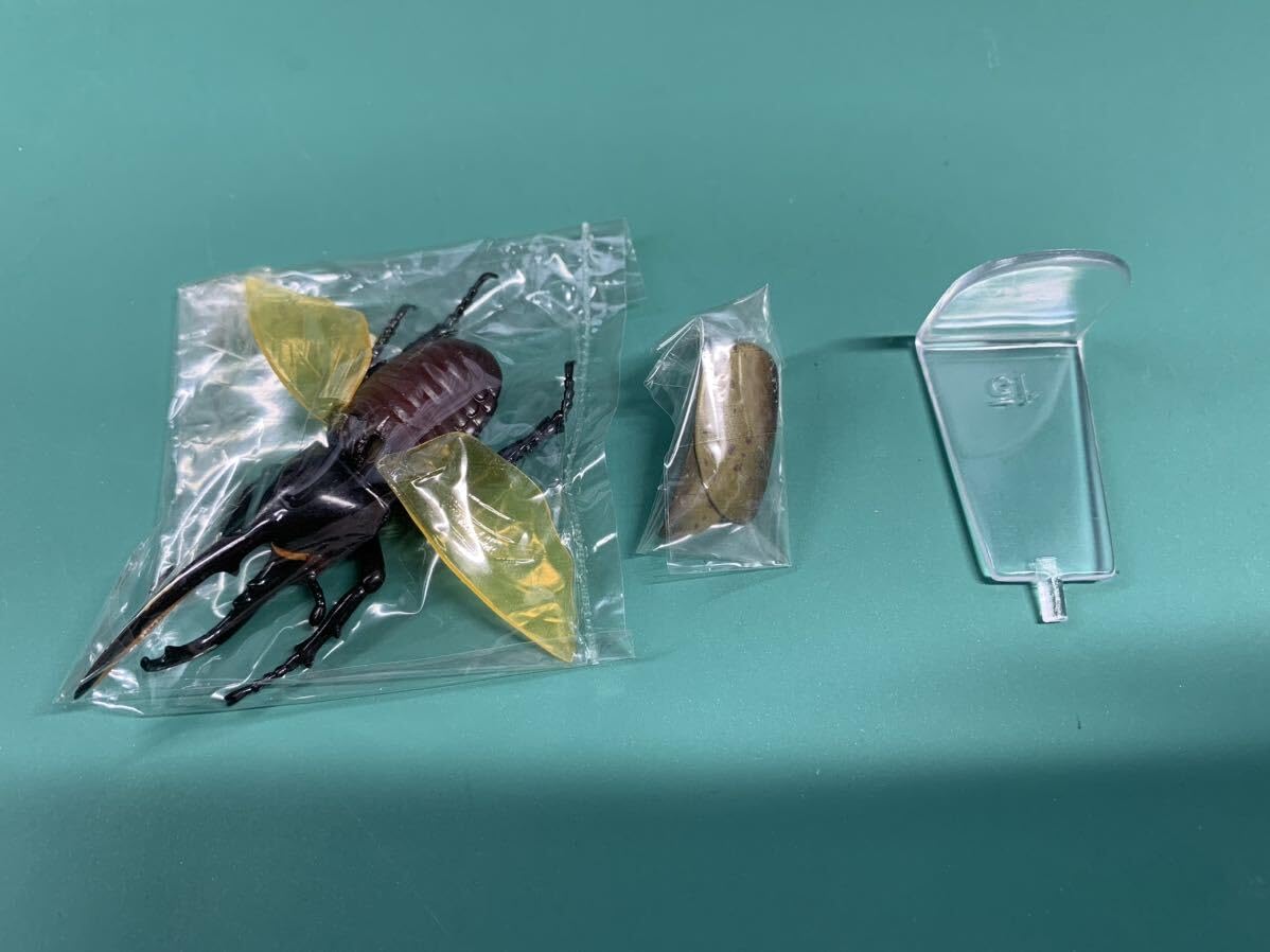 Amazon.co.jp: ヘラクレスオオカブトの飛翔 No.15 Kabaya 食玩 昆虫