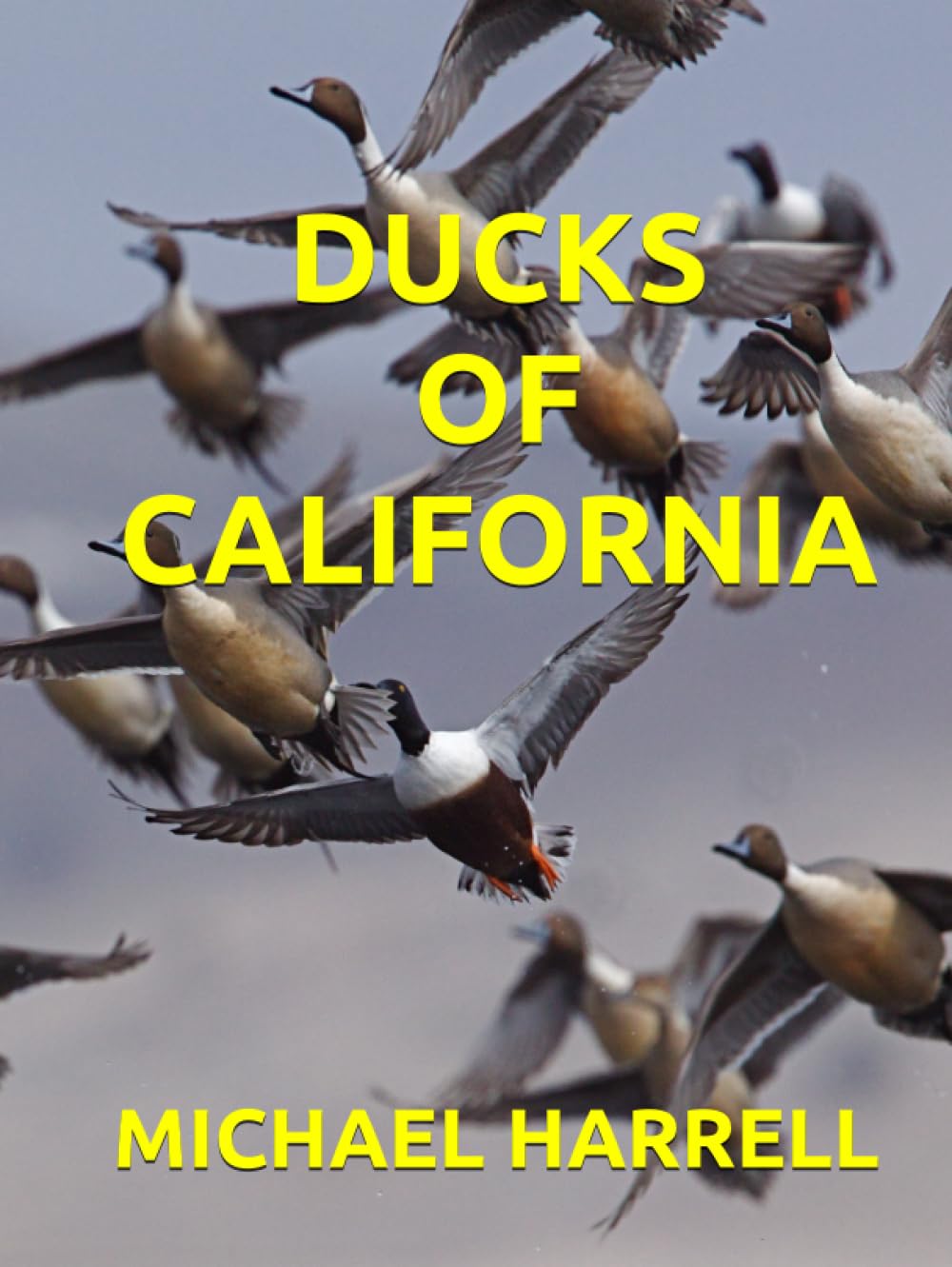 DUCKS OF CALIFORNIA (Wildlife of North America and other educational books.)      Hardcover – September 12, 2023