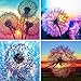 Produktbild INSANYJ 5D Diamant Painting Bilder, 4 Stück Diamond Painting Set für Erwachsene Kinder, Diamond Painting Full Groß mit Diamond Painting Zubehör DIY Diamant Malerei für Home Wall Décor