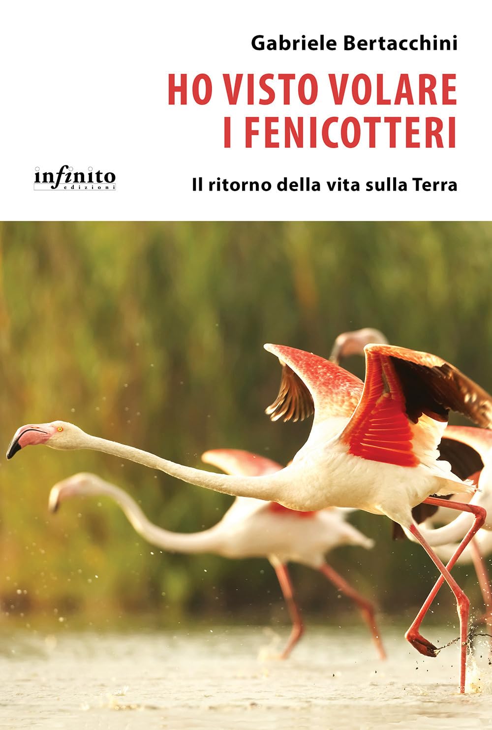 Ho Visto Volare I Fenicotteri. Il Ritorno Della Vita Sulla Terra - 4