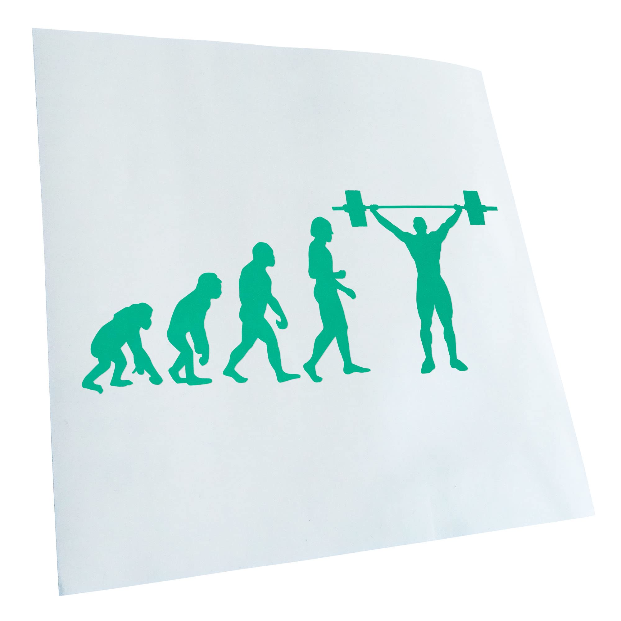 Kiwistar - Car Sticker - Turquoise - 24 x 10 cm Evolution Weightlifter - Rear Window Car Sticker Weatherproof for Car Truck Moped Truck - Sticker Exterior Self-Adhesive Tuning Accessories for Window