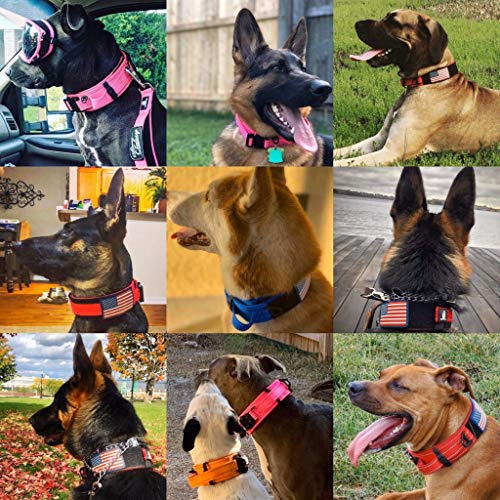 Dog Collar With Control Handle Quick Release Metal Buckle Heavy Duty Military Style 2" Width Nylon With Usa Flag For Handling And Training Large Canine Male Or Female K9 #TOP6