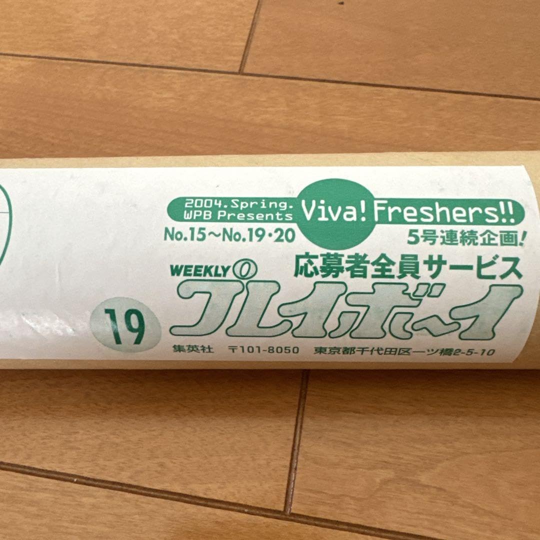 Amazon.co.jp: 週刊プレイボーイ 『磯山さやか 等身大ポスター
