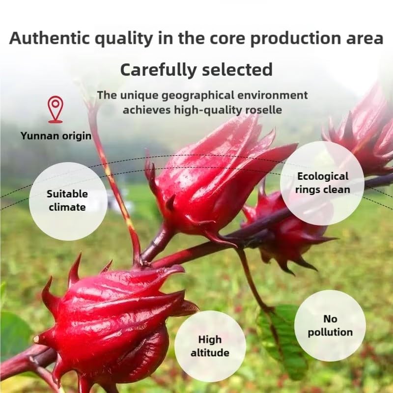 Miniatura 2 de Bolsas de té de hibisco, 50 bolsitas de té, 3.70 oz, 3.8 onzas, bolsa de té de flor de hibisco de alta calidad, cultivada de Yunnan, sin OMG, sin