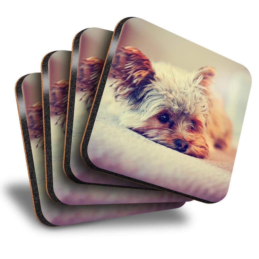 Destination Vinyl ltd Great Coasters (Set of 4) Square - Yorkshire Terrier Puppy Dog Drink Glossy Coasters/Tabletop Protection for Any Table Type #15621