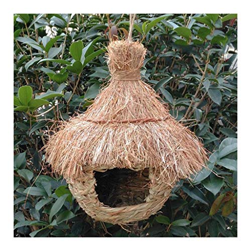 Perroquet hôtel naturel et nidification d'oiseaux sauvages