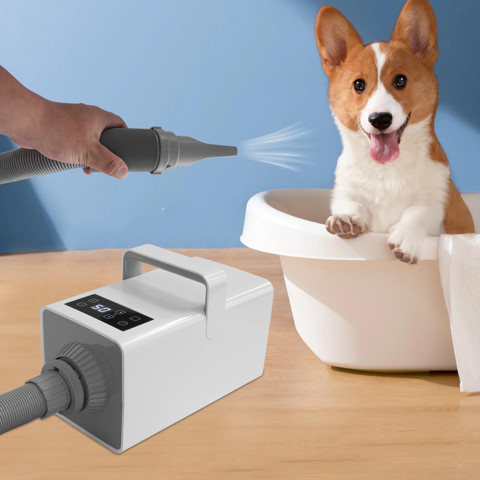 Sèche-cheveux pour animal de compagnie avec 4 buses et tuyau, 2200 W, 7 niveaux de vitesse du vent, 35 à 60 °C, silencieux et sûr pour les petits et grands animaux