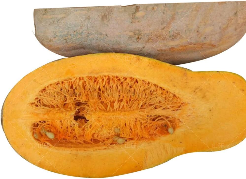 Sweet Pumpkin Seeds, Vegetables Fruit Edible Healthy Food Cooking Soap Plant Seeds - 50 Pcs