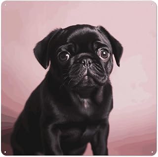 Cute Black Pug Square Iron Wall Decor Vintage Farmhouse | Metal Wall Art Tinplate Hanging Sign for Living Room, Patio, Bedroom, Garden - Rustic Retro Home Wall Decoration