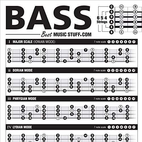 Creative Bass Poster - Interactive Theory Chart • Creative Bass Reference Poster 24"X36" (Dry-Erase) 602573435304 #TOP2