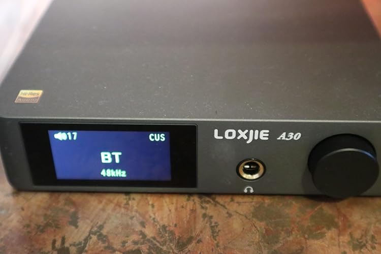 LOXJIE A30 パワーアンプ HI-FI ステレオ デジタルアンプ DAC